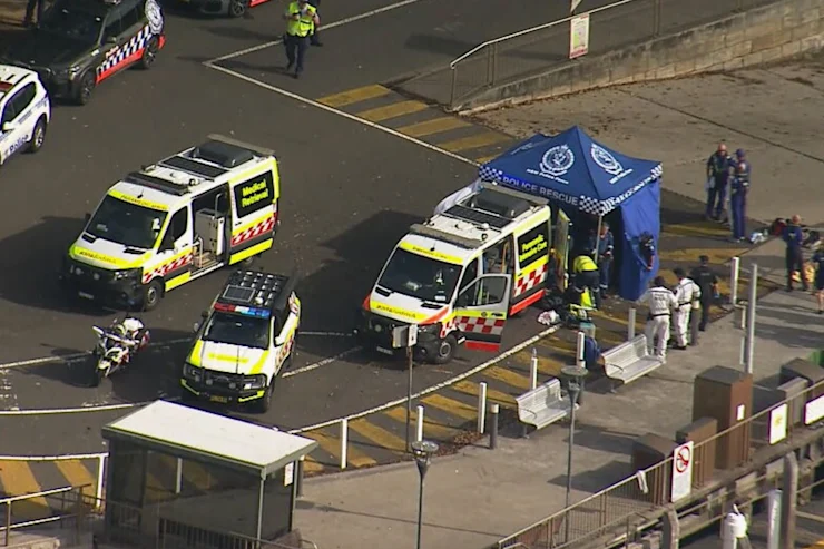 Boy in critical condition after shark attack at Sydney Harbour beach